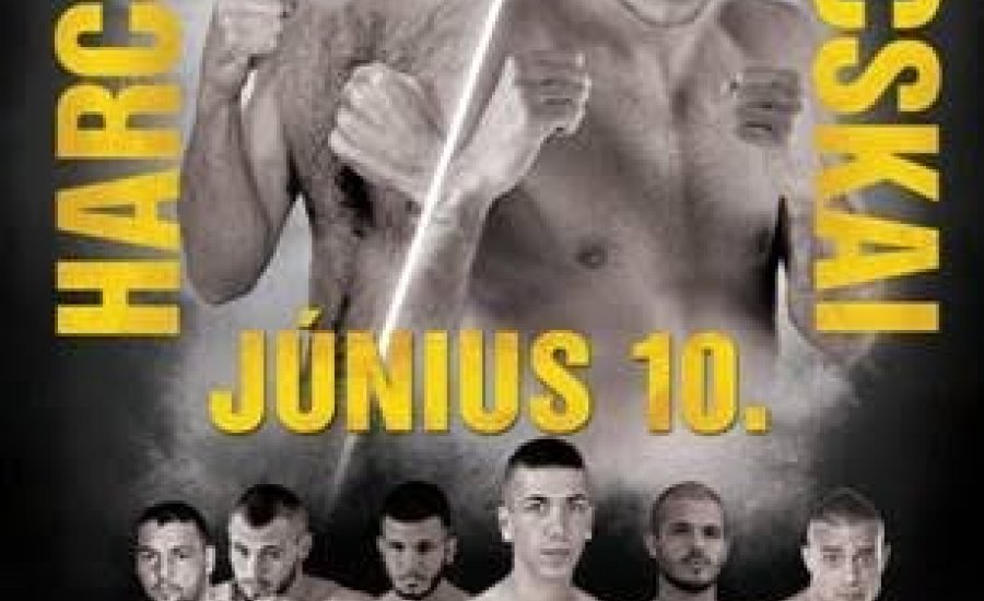 Harcsa - Bacskai: magyar edzők szemével