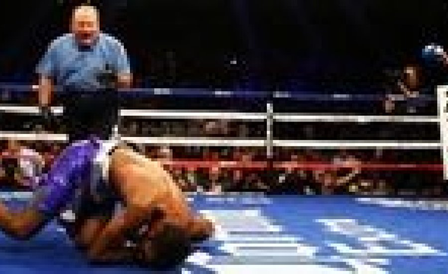 Peterson - Matthysse összefoglaló