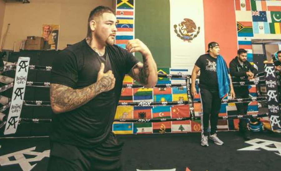 Élete formájában tér vissza Andy Ruiz Jr