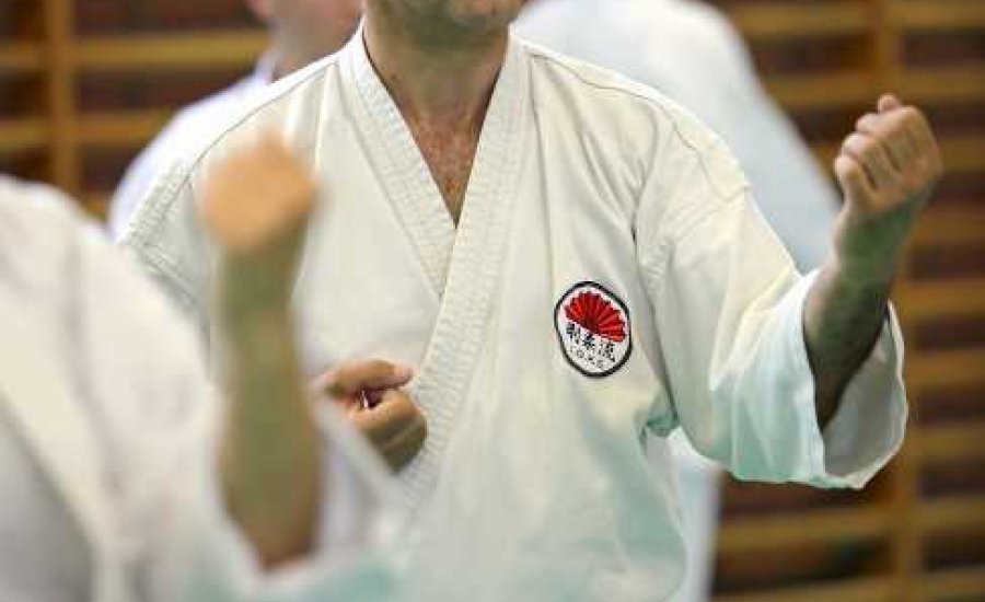 Goju-Ryu tábor Gyomaendrődön: Harsányi-interjú