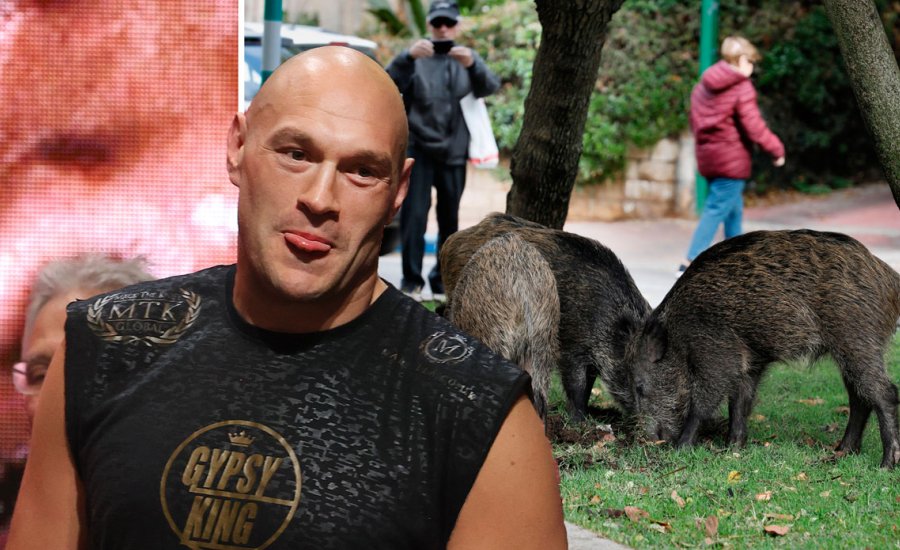 Tyson Fury visszaadta a versenyengedélyét