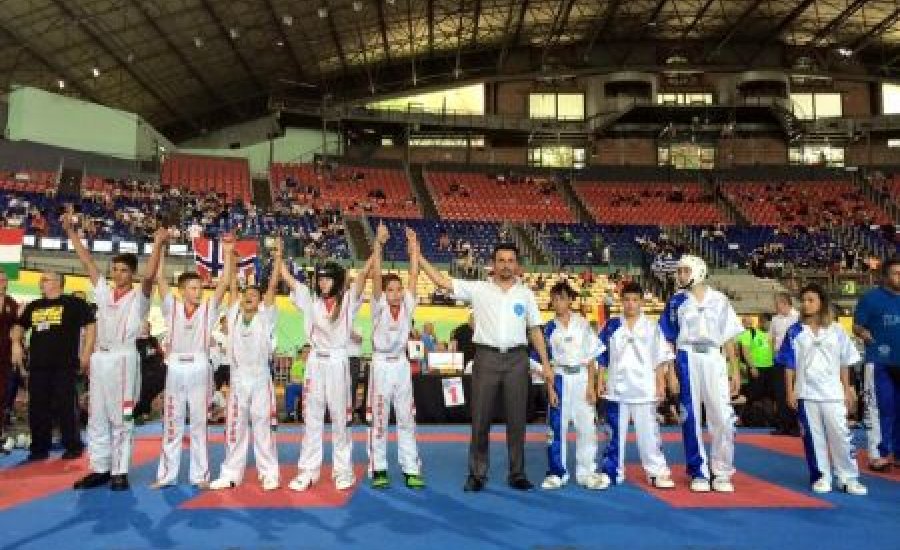 Kick-box Európa-bajnokság: 22 arany