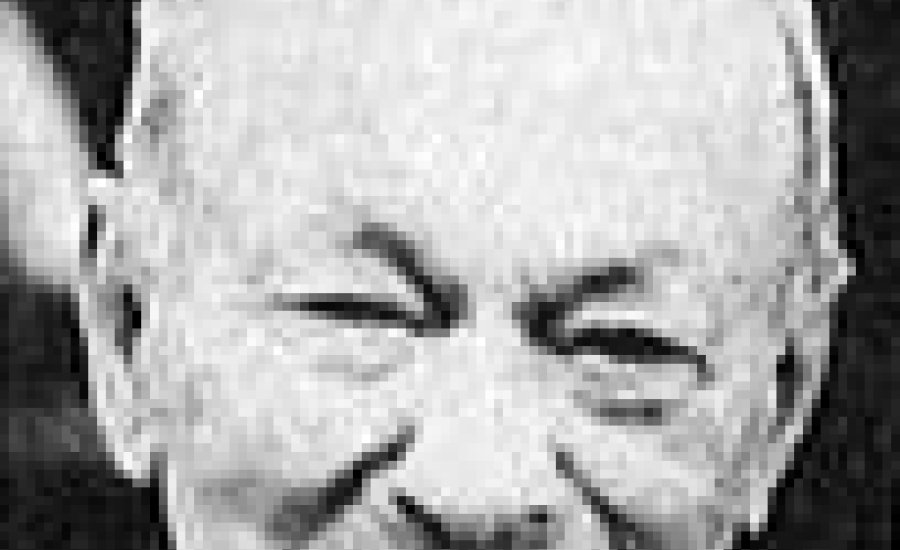 Adler Zsigmond 110 éves lenne