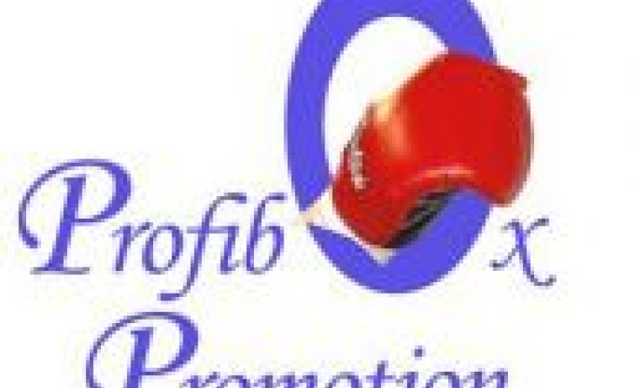 Kérdezd Danny Williamst szombaton, vasárnap boxgála a Papp László Sportarénában