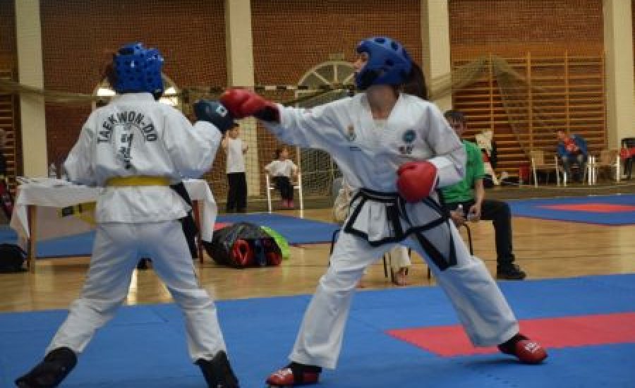 Kick-box: Békéscsabára került a Magyar Köztársaság Kupa