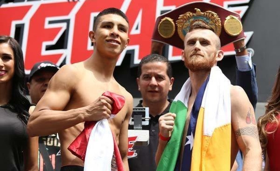 Munguia és Hogan mérlegre állt