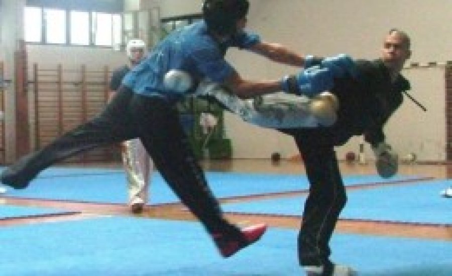 Magyarországon edzőtáboroztak a világ legjobb pointfighting kick-boxosai